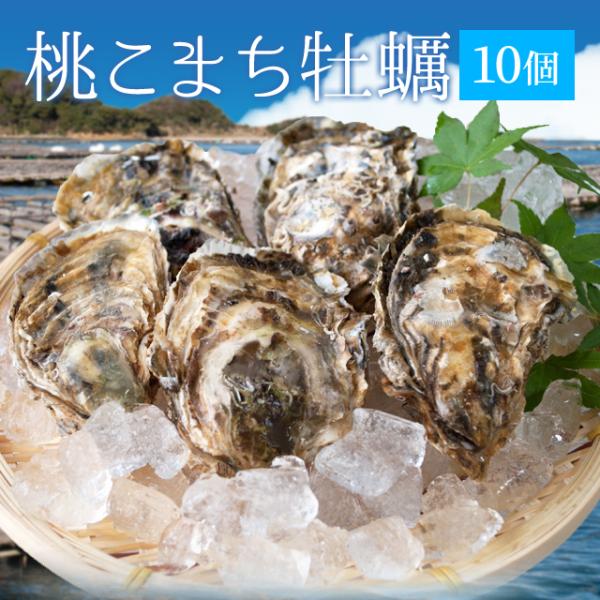 牡蠣 桃こまち １０個 殻付き牡蠣 （牡蠣ナイフ・片手用軍手付き）発泡箱入 三重県鳥羽産（加熱用）