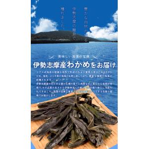 乾燥 わかめ 100g 素干し 伊勢志摩の離島...の詳細画像2