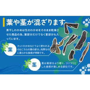 乾燥 わかめ 100g 素干し 伊勢志摩の離島...の詳細画像5