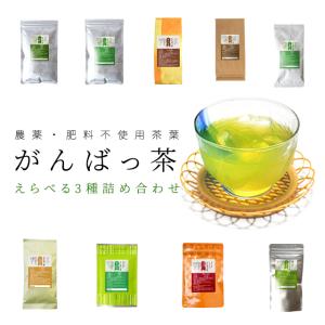 日本茶 伊勢茶 選べる お茶 ３袋 詰合せ 農薬・肥料不使用栽培 無農薬 無肥料 水出し緑茶 がんばっ茶｜伊勢鳥羽志摩特産横丁