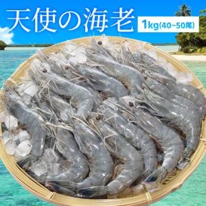 天使の海老 中サイズ １ｋｇ（４０〜５０尾入り）  海老