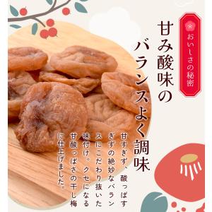 干し梅 種無し 200g 個包装(約55〜65...の詳細画像4