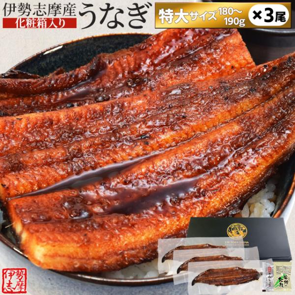 うなぎ 伊勢志摩産 たれ 特大サイズ ３尾 たれ付 送料無料 国産 ウナギ 鰻 蒲焼き 丑の日 個包...
