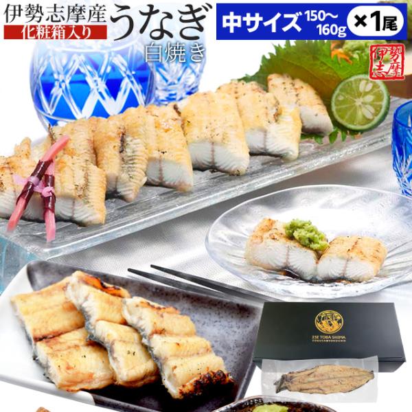うなぎ 伊勢志摩産 白焼き 中サイズ １尾 送料無料 国産 ウナギ 鰻 蒲焼き 丑の日 個包装 冷凍...