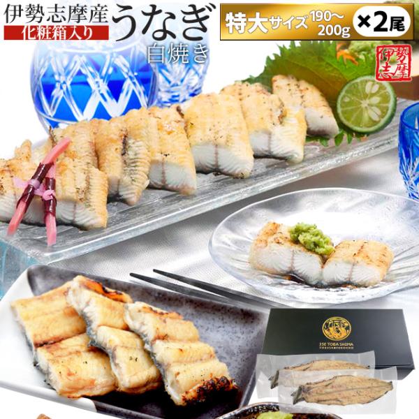 うなぎ 伊勢志摩産 白焼き 特大サイズ ２尾 送料無料 国産 ウナギ 鰻 蒲焼き 丑の日 個包装 冷...