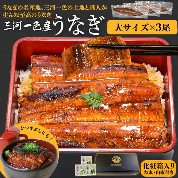 うなぎ 三河産 たれ 大サイズ ３尾 国産 ウナギ 鰻 蒲焼き 丑の日 山椒たれ付 個包装 冷凍 愛...