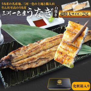 うなぎ 三河産 白焼き 超特大サイズ ２尾 国産 ウナギ 鰻 蒲焼き 丑の日 個包装 冷凍 愛知県産 三河一色 化粧箱入 母の日 ギフト