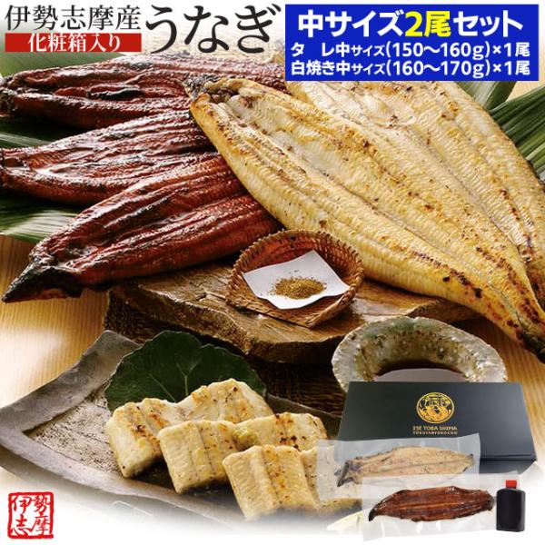 うなぎ セット 伊勢志摩産 中サイズ２尾（たれ１尾 白焼き１尾） たれ付 送料無料 国産 ウナギ 鰻...