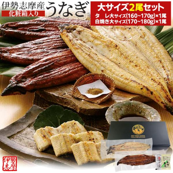 うなぎ セット 伊勢志摩産 大サイズ２尾（たれ１尾 白焼き１尾） たれ付 送料無料 国産 ウナギ 鰻...