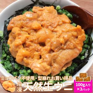 うに 不揃い １００ｇ×３ ウニ お買得品 天然 冷凍 生