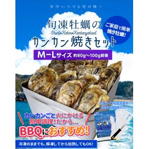 牡蠣 カンカン焼き セット 永遠の定番 ３０個入 冷凍 送料無料 鳥羽 桃こまち 片手用軍手付 牡蠣ナイフ 半缶入 殻付き 一斗缶 バーベキュー 海鮮