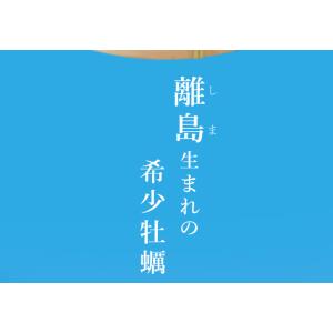 牡蠣 桃こまち カンカン焼き セット M〜Lサ...の詳細画像4