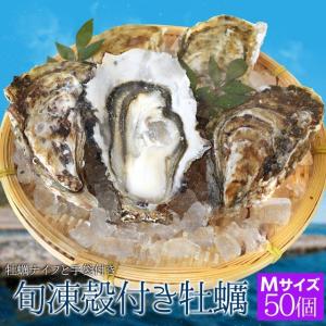 牡蠣 Ｍサイズ ５０個入 冷凍殻付き牡蠣 送料無料 産地厳選 加熱用（発泡箱入・牡蠣ナイフ・片手用軍手付き）海鮮バーベキューセット 父の日 ギフト