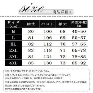 マウンテンパーカー レディース 春 秋 きれい...の詳細画像1