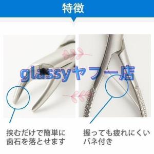 愛犬?愛猫用歯石取りペンチ犬歯石デンタルケアホ...の詳細画像2