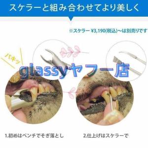 愛犬?愛猫用歯石取りペンチ犬歯石デンタルケアホ...の詳細画像3