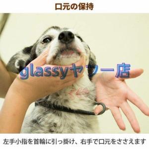 愛犬?愛猫用歯石取りペンチ犬歯石デンタルケアホ...の詳細画像4