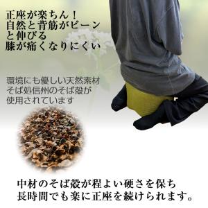 正座クッション Lサイズ そば殻入り 大【横約...の詳細画像2