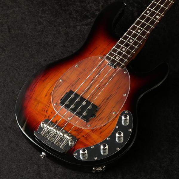 STERLING / Ray34SM 3-Tone Sunburst/Rosewood(S/N SR...