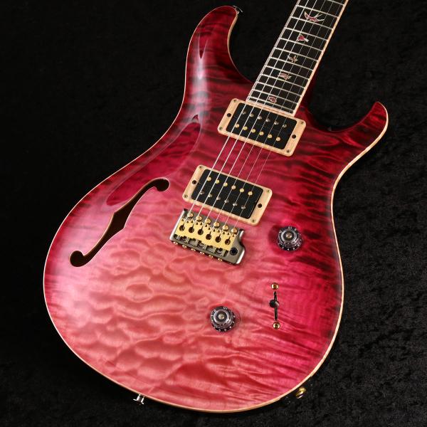 Paul Reed Smith / Private Stock #10541 Custom 24 S...