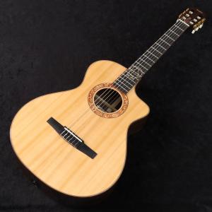 Taylor / JMSM Jason Mra...の詳細画像2