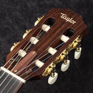 Taylor / JMSM Jason Mra...の詳細画像4