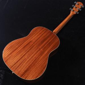 Taylor / Gold Label 517...の詳細画像3
