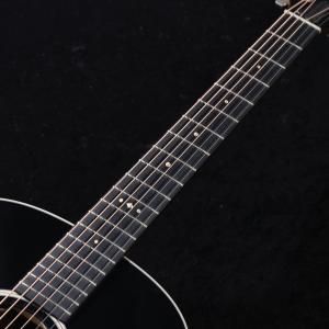 Taylor / Gold Label 517...の詳細画像4