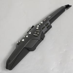 (中古) Roland / AE-10G Aerophone エアロフォン  中国仕様 (御茶ノ水本店)｜ishibashi-shops