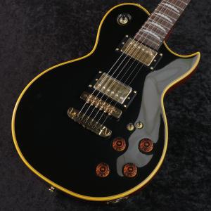 AriaProII RS-CUSTOM 《送料・代引き手数料無料》 : 盛幸堂楽器