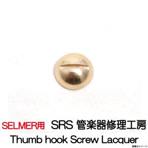 BG SWAB(スワブ)イングリッシュホルン(コーラングレ)上管/下管兼用