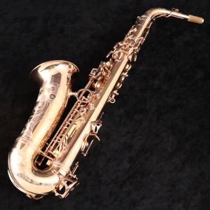 (中古)Yanagisawa ヤナギサワ / ...の詳細画像1