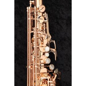 (中古)Yanagisawa ヤナギサワ / ...の詳細画像3