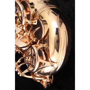 (中古)Yanagisawa ヤナギサワ / ...の詳細画像5