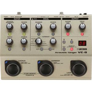 BOSS（ボス） 《※生産終了 在庫限り。》 【 BR-80 】 MICRO BR Digital