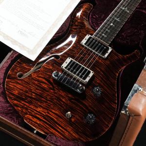 Paul Reed Smith / Private Stock #11617 McCarty Semi-hollow Electric Tiger (渋谷店)