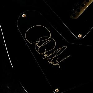 Paul Reed Smith(PRS) / ...の詳細画像5