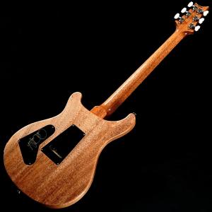 Paul Reed Smith(PRS) / ...の詳細画像3