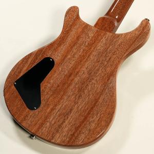 Paul Reed Smith(PRS) / ...の詳細画像1