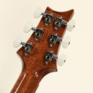 Paul Reed Smith(PRS) / ...の詳細画像5