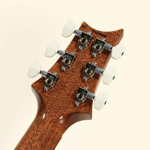Paul Reed Smith(PRS) / ...の詳細画像5