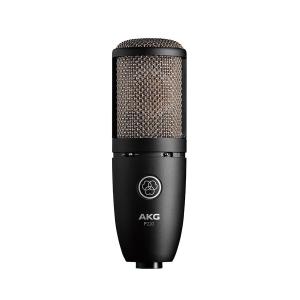 AKG / Project Studio Line P220 コンデンサーマイク(長期店頭展示品処分特価)(渋谷店)｜ishibashi-shops