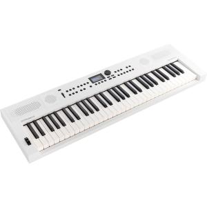 ローランド（Roland） Roland HP-70 Piano Plus 70 Electric Piano