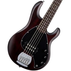 Sterling by MUSIC MAN / SUB Series Ray5 Walnut Satin スターリン ミュージックマン(新宿店)｜ishibashi-shops