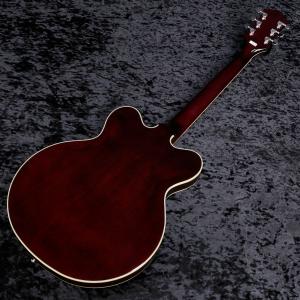 GRETSCH / G2622 Streaml...の詳細画像2