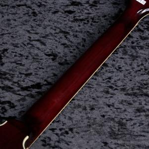 GRETSCH / G2622 Streaml...の詳細画像5