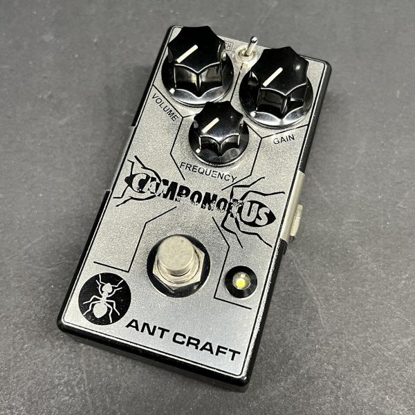 (中古)ANT CRAFT / Camponotus(新宿店)