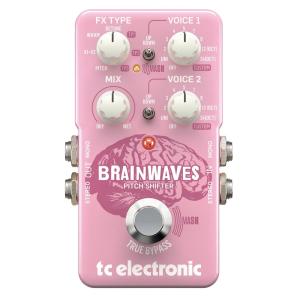 TC ELECTRONIC / BRAINWAVES ティーシーエレクトロニック ピッチシフター(新宿店)｜ishibashi-shops