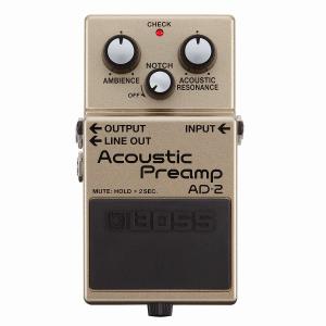 t.c.electronic Wiretap Riff Recorder コンパクトリフレコーダー