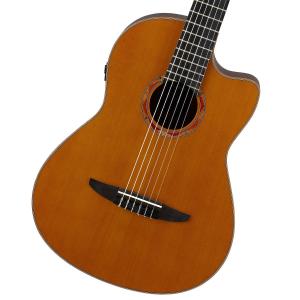 ESP BambooInn-C : ESP-BIGBOSSヤフー店 - 通販 - Yahoo!ショッピング